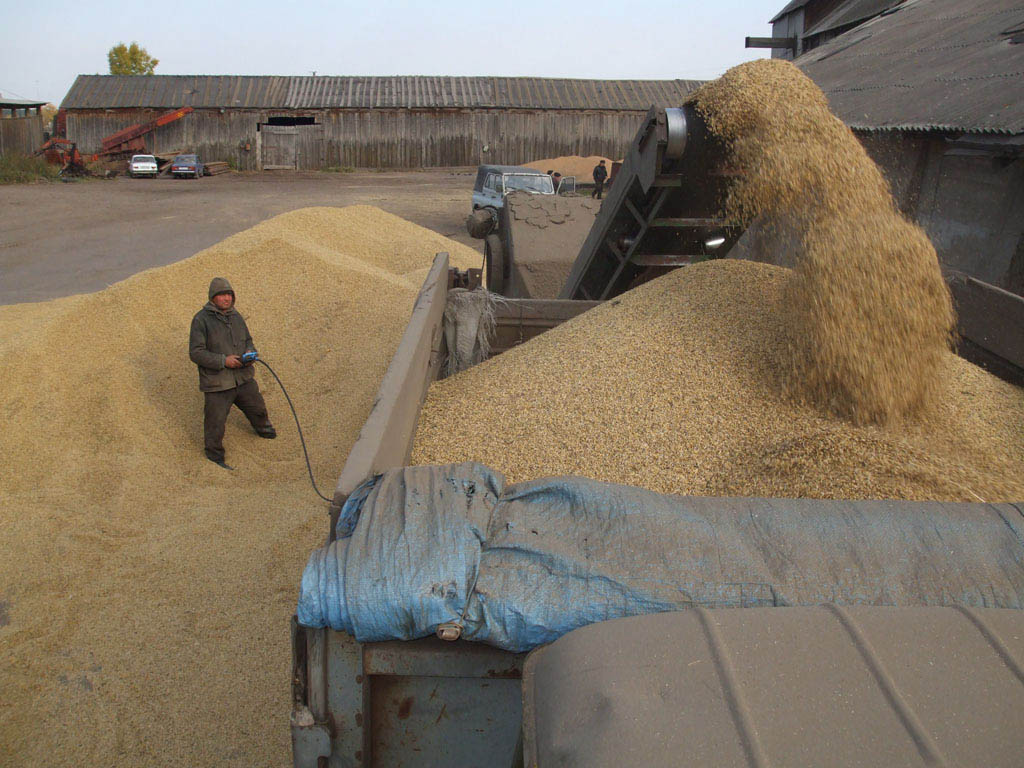 Около 200 российских предприятий займутся поставкой зерна в Китай