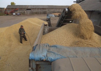Около 200 российских предприятий займутся поставкой зерна в Китай